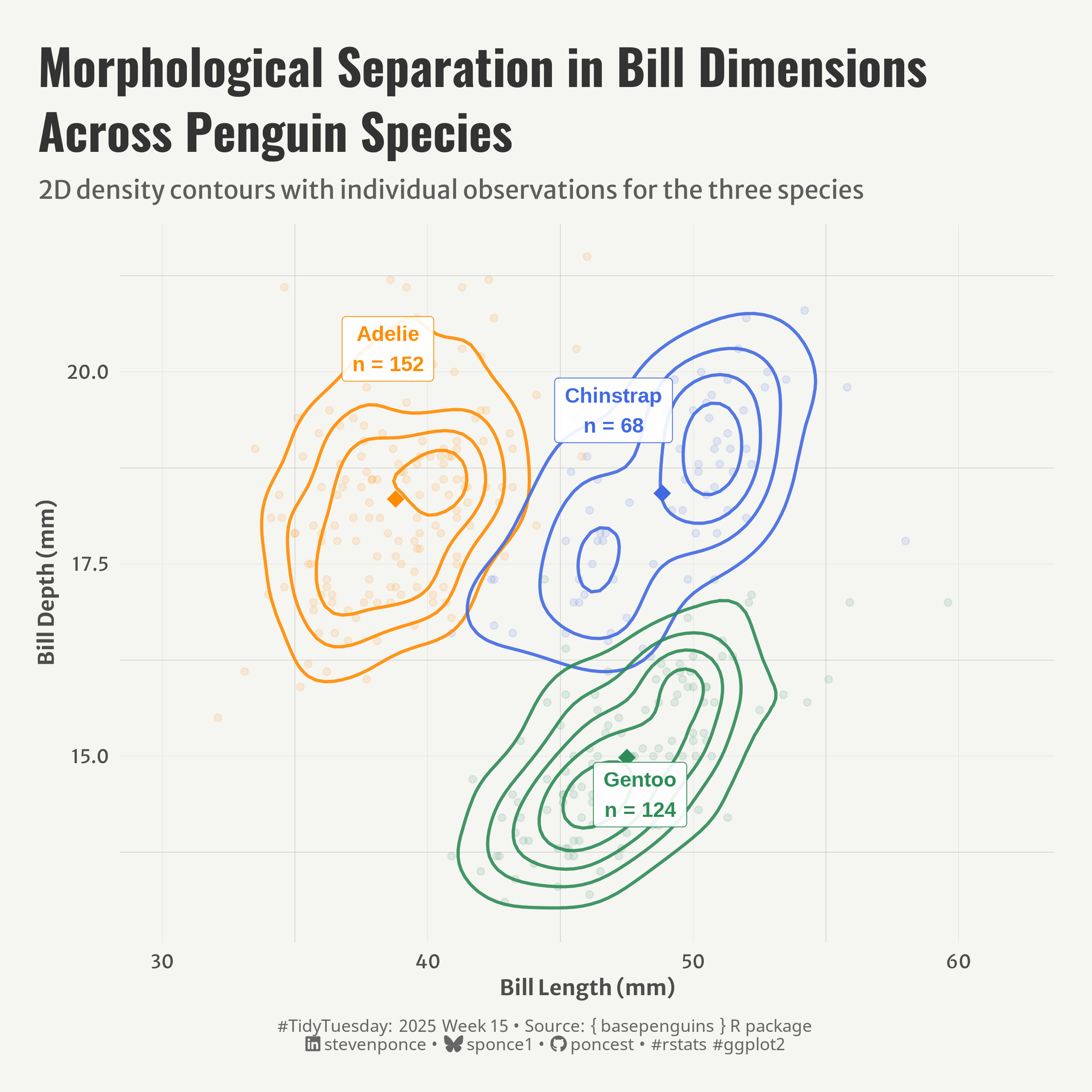 A scatterplot showing bill dimensions (length vs. depth in mm) for three penguin species with density contours. The plot clearly displays three distinct clusters: Adelie penguins (orange, n=152) with shorter, deeper bills centered around 40mm length; Chinstrap penguins (blue, n=68) with medium-length bills around 49mm and greater depth; and Gentoo penguins (green, n=124) with longer, shallower bills around 48mm length and 15mm depth. Diamond markers indicate species means. 