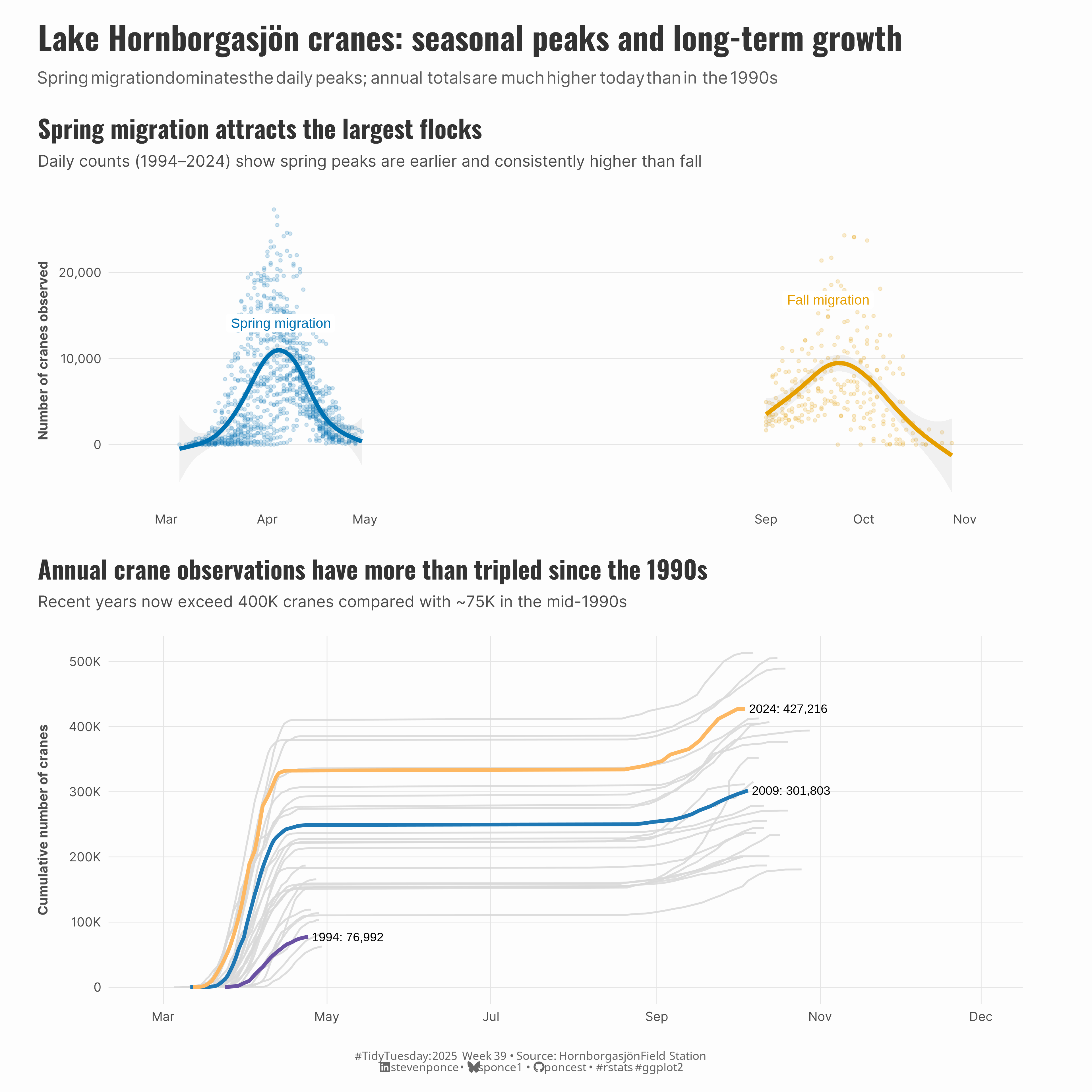 Two-panel chart showing Lake Hornborgasjön crane observations from 1994 to 2024. The top panel displays seasonal patterns with spring migration (blue, peaking around 10,000 cranes in April) significantly higher than fall migration (orange, peaking around 9,000 in October). The bottom panel shows cumulative annual observations, colored from purple (1990s) to orange (2020s), demonstrating population growth from approximately 77,000 cranes in 1994 to over 427,000 in 2024, a more than threefold increase over 30 years.