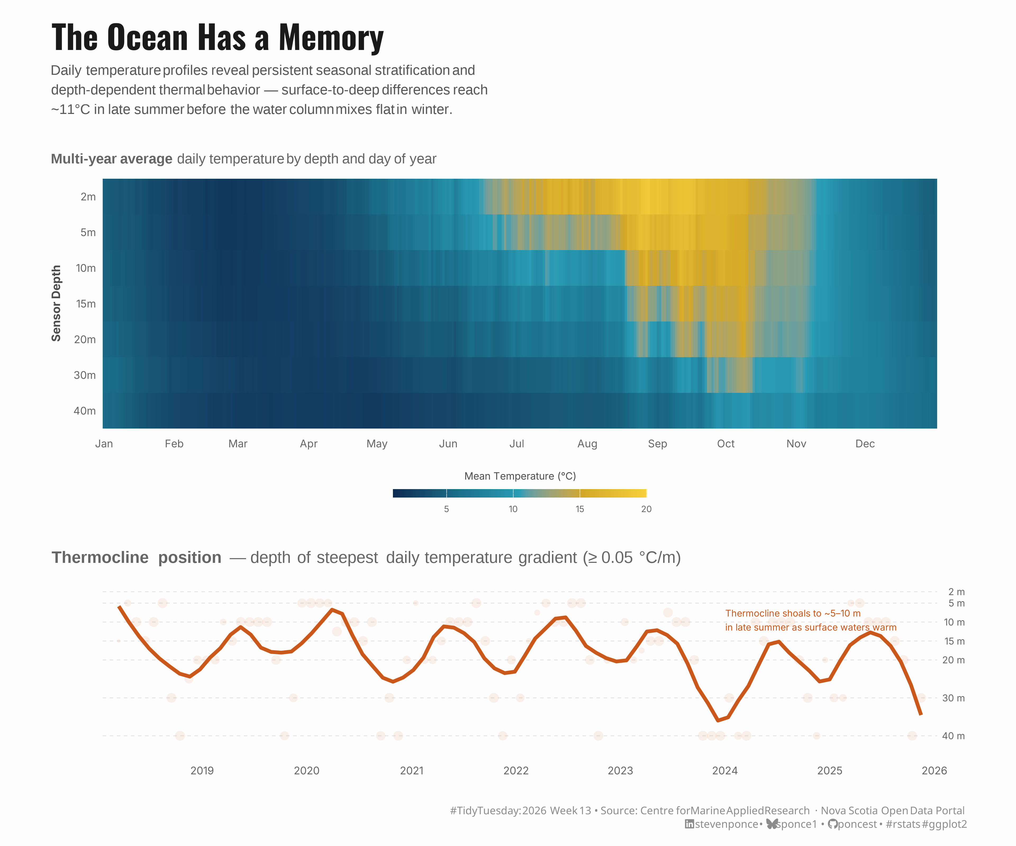 Two-panel visualization titled 'The Ocean Has a Memory.' Top panel: a heatmap showing multi-year average daily ocean temperature by depth (2m to 40m) and day of year at a Nova Scotia coastal monitoring station. Cold blue tones dominate winter and deeper depths; warm yellow tones appear at the surface from June through September, with stratification clearly visible as shallower depths warm faster. Bottom panel: a time series from 2018 to 2026 showing thermocline depth — the point of steepest temperature gradient — which shoals to 5–10 metres each summer and deepens or disappears in winter when the water column mixes. Scatter points at low opacity show daily variability; a loess smooth highlights the repeating annual pattern. An annotation notes that the thermocline shoals to approximately 5–10 metres in late summer as surface waters warm.