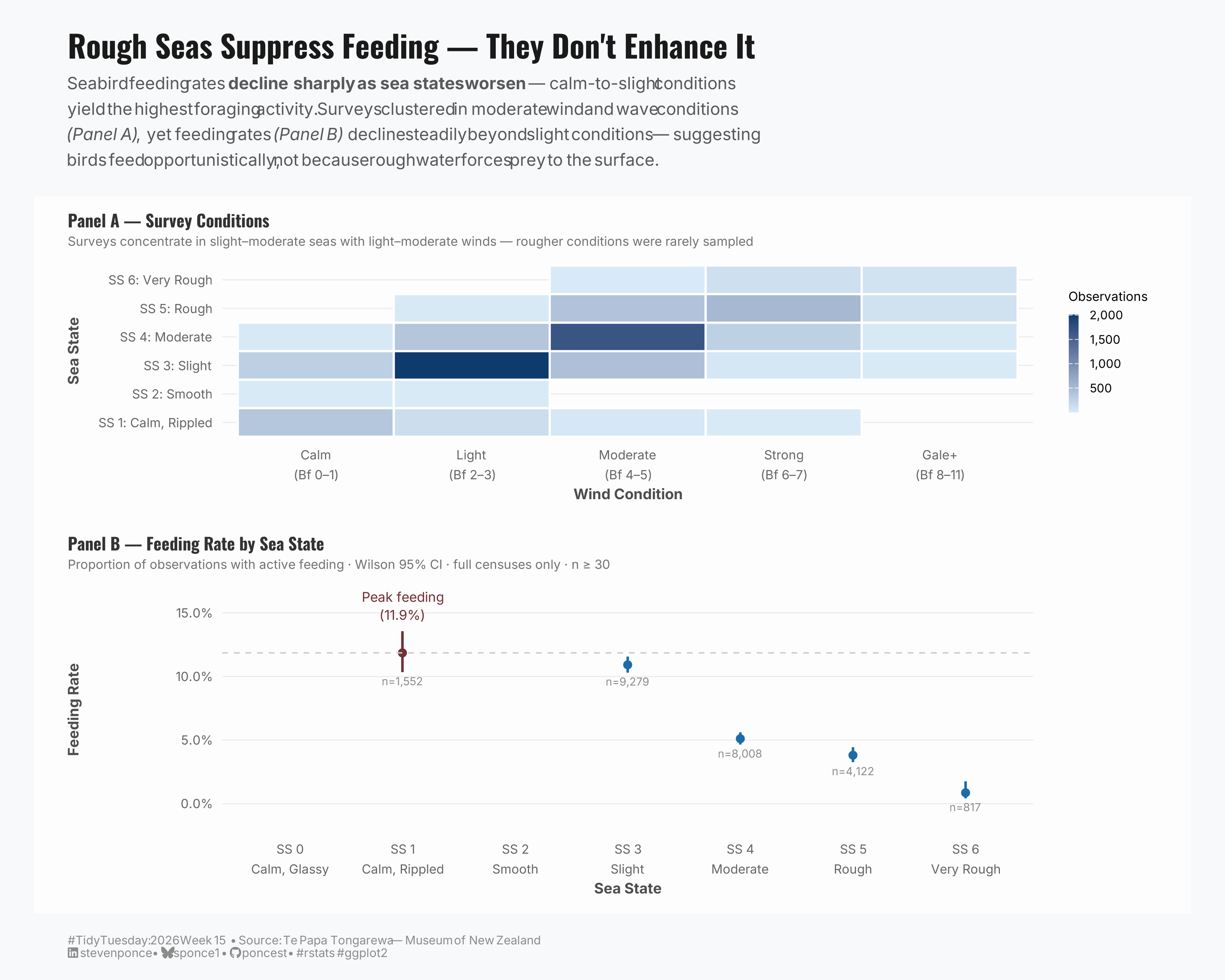 Two-panel data visualization titled "Rough Seas Suppress Feeding — They Don't Enhance It." Panel A is a heatmap showing survey effort by wind condition (Beaufort scale, binned Calm to Gale+) and sea state (SS1–SS6). Observation density peaks at slight-to-moderate seas with light-to-moderate winds, shown in deep navy. Panel B is a dot plot with Wilson 95% confidence intervals showing seabird feeding rates by sea state. Feeding peaks at 11.9% under calm, rippled conditions (SS1) and declines steadily through rough (SS5, ~4%) and very rough seas (SS6, ~2%). A dashed reference line marks the peak feeding rate. Data from Te Papa Tongarewa, Museum of New Zealand, 1969–1990.